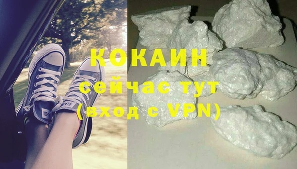 гидра Аркадак